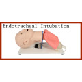 Modelo avanzado de entrenamiento en intubación endotraqueal humana